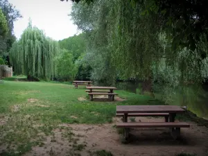 Saint-Léon-sur-Vézère - Shore (banco) con mesas de picnic, un río (el Vézère) y árboles a la orilla del agua, en el Périgord