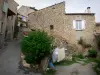 Saint-Martin-de-Brômes - Ruelle et maisons du village provençal