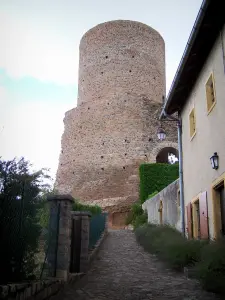 Saint-Maurice-sur-Loire - Lane die naar de kerker (resten van het kasteel)