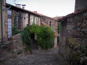 Saint-Maurice-sur-Loire - Lane en huizen in het dorp