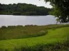 Saint-Pardoux lake - Lawn, wild flowers, lake and trees