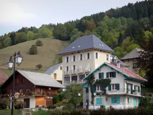 Saint-Pierre-de-Chartreuse - Houses of the fitness resort (village), pasture and trees; in the Chartreuse Regional Nature Park (Chartreuse mountains)