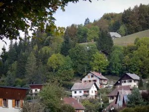 Saint-Pierre-de-Chartreuse - Houses of the fitness resort (village), pasture and trees; in the Chartreuse Regional Nature Park (Chartreuse mountains)