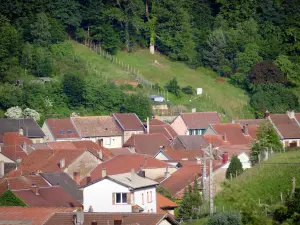 Saint-Quirin - Visión sobre los tejados de casas en el pueblo