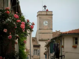 Saint-Rémy-de-Provence - Kirchturm des Rathauses (ehemaliges Kloster)und Rosenstrauch der die Fassade eines Hauses schmückt
