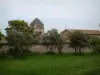 Saint-Rémy-de-Provence - Mosteiro de Saint-Paul-de-Mausole (casa da saúde de Van Gogh)