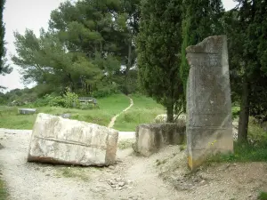 Saint-Rémy-de-Provence - Grosse Steine von Glanum (Bildhauerei und Skulptur) und Bäume