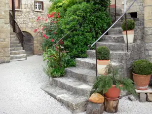 Saint-Robert - Vieille Rue: Treppe geschmückt mit Topfpflanzen