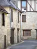 Saint-Robert - Facades of stone houses