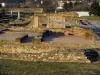 Saint-Romain-en-Gal - Galloromanische Ausgrabungsstätte (Überreste)