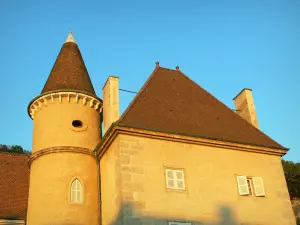 Saint-Sorlin-en-Bugey - Château home to the private high school for agricultural education of Saint-Sorlin