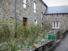 Saint-Suliac - Stone house and rosebushes