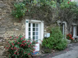Saint-Suliac - Stone house decorated with flowers, plants and a climbing rose