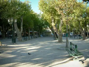 Saint-Tropez - Platz Lices mit seinen Platanen (Bäumen), seinen Sitzbänken und seinem Brunnen