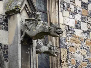 Saint-Valery-sur-Somme - Città alta (medievale): doccioni della chiesa di San Martino