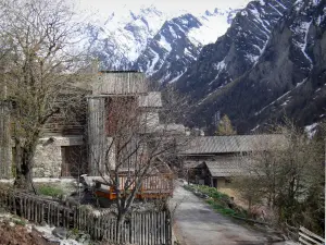 Saint-Véran - Houses with larch-shingles roofs, narrow street of the mountain village, trees and mountains with snowy tops (snow); in the Queyras Regional Nature Park