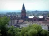 Saint-Dié-des-Vosges - Bomen, kerk en huizen van de stad