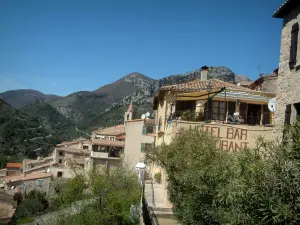 Sainte-Agnès - Casas en el pueblo con las montañas en el fondo