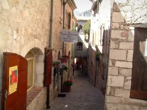 Sainte-Agnès - Rue étroite pavée avec ses maisons en pierre ornées de pots de fleurs
