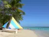 Sainte-Anne - Plage du Bourg de Sainte-Anne, sur l'île de la Grande-Terre, avec son lagon, ses cocotiers et un petit voilier posé sur le sable