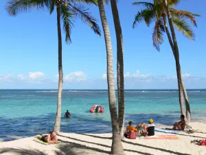 Sainte-Anne - Lazing on the white sand of the Caravelle beach, in the shade of coconut trees along the lagoon