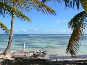 Sainte-Anne - Lagoon view from the Bois Jolan beach with palm leaves in the foreground