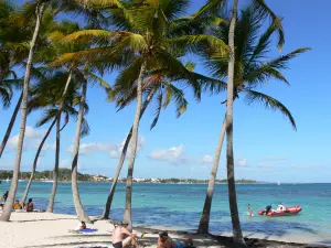 Sainte-Anne - Faulenzen auf dem weissen Sand des Strandes Caravelle, im Schatten der Kokospalmen, am Ufer der Lagune