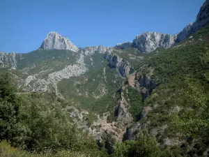 Sainte-Baume massif - Trees, vegetation (scrubland) and rock faces (cliffs)