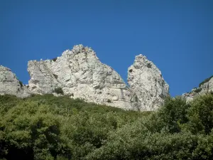 Sainte-Baume massif - Trees, vegetation (scrubland) and rock faces (cliffs)