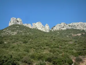 Sainte-Baume massif - Vegetation (scrubland) and rock faces