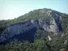 Sainte-Baume massif - Rock faces, undergrowths and trees