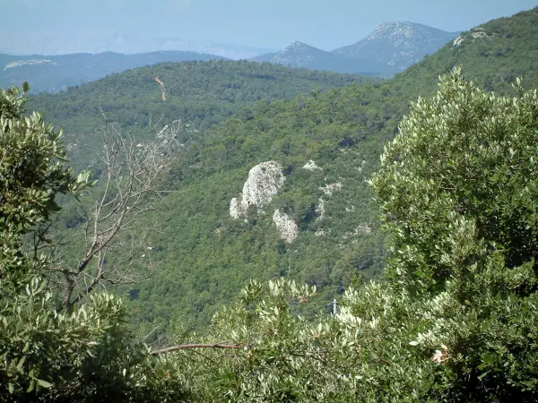 The Sainte-Baume Massif - Tourism, holidays & weekends guide in the Var