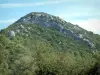 Sainte-Baume massif - Trees, forest and rock faces