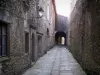 Sainte-Croix-en-Jarez - Narrow street (corridor) and buildings of the former Carthusian monastery (former convent); in the Regional Natural reserve of Pilat