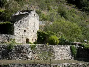 Sainte-Enimie - Murs de pierres et végétation