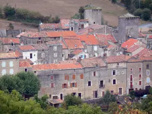 Sainte-Eulalie-de-Cernon - View of the rooftops and towers of the former commander, on the Larzac plateau, in the Grands Causses Regional Nature Park