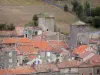 Sainte-Eulalie-de-Cernon - Sicht auf die Türme und die Dächer des Dorfes