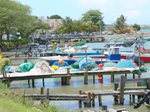 Sainte-Rose - Fischerhafen von Sainte-Rose und seine angelegten Boote