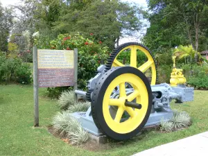 Sainte-Rose - Exposición de una máquina de vapor en el jardín de flores del Musée du Rhum