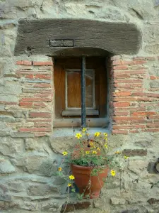 Sainte-Suzanne - Floración planta en maceta en la fachada de una casa