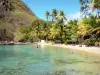 Les Saintes - Petite Anse Pan de Azúcar, con su playa de arena, cocoteros y aguas claras