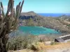 Les Saintes - Vista delle acque turchesi dell'arcipelago di Les Saintes dai giardini botanici di Fort Napoleone e il suo cactus