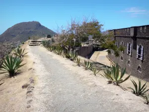 Les Saintes - Borstwering van Fort Napoleon en zijn cactus