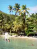 Les Saintes - Petite Anse Pan di Zucchero con la sua spiaggia di sabbia, palme da cocco e acque cristalline