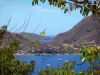 Les Saintes - Paisaje con las ramas de los árboles sagrados en el primer plano