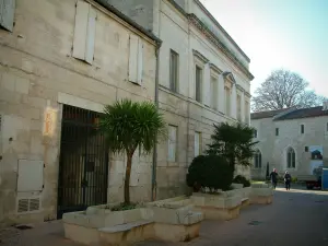 Saintes - Museum van de wethouder (Museum voor Schone Kunsten), struiken en bibliotheek (bibliotheek) op de achtergrond