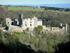 Saissac - Château cathare de Saissac dans un cadre verdoyant