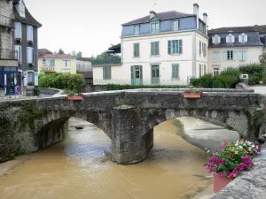 Salies-de-Béarn - Bridge spanning River Saleys and facades of houses in the old town