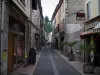 Salies-du-Salat - Shopping street lined with houses