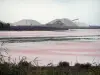Salinas del Midi - Sitio de Aigues-Mortes solución salina (sal de la minería)